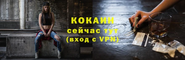 mdpv Богданович