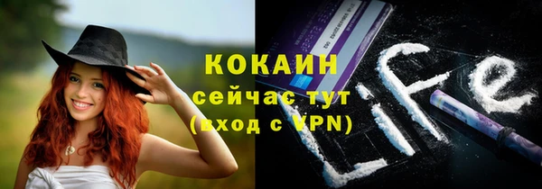 mdpv Богданович
