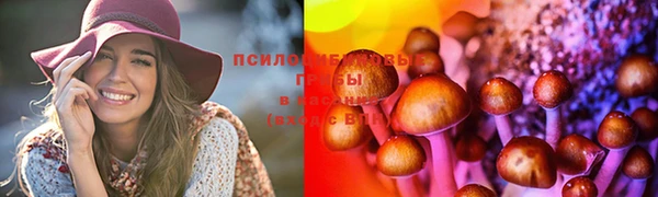 бошки Богородицк