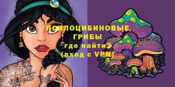 бошки Богородицк