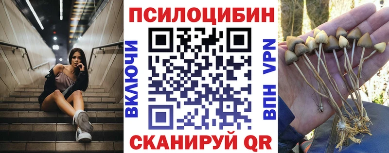 Галлюциногенные грибы Psilocybine cubensis  OMG ССЫЛКА  Буй 